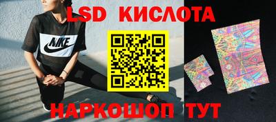 прущие грибы Мариинск
