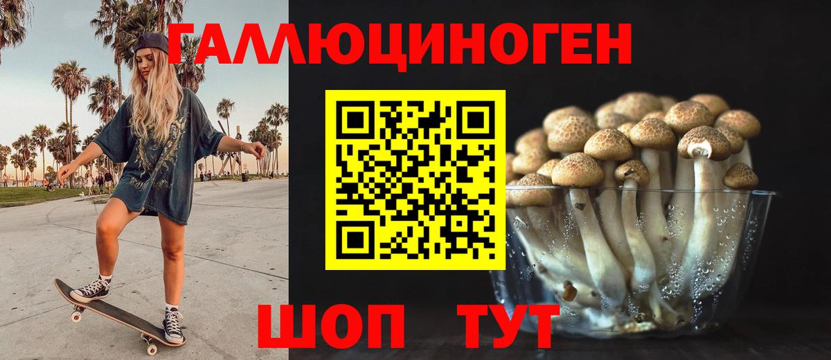 Дмитров  Псилоцибиновые грибы Psilocybine cubensis  Галлюциногенные грибы прущие грибы  Вход с VPN 